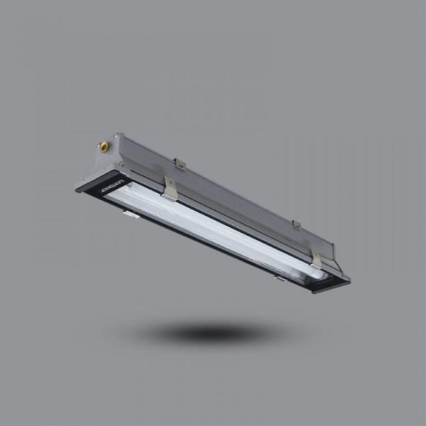 Bộ đèn chống thấm – chống bụi 0,6m PIFK118L10