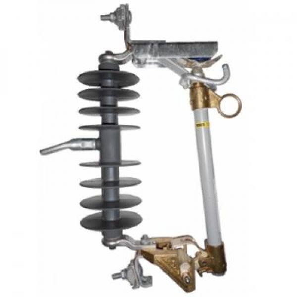 Cầu chì tự rơi FCO-Hubbell(Polymer)