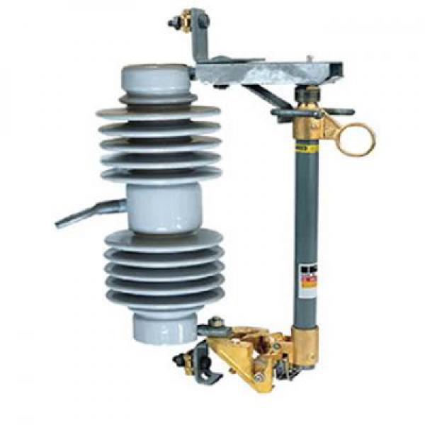 Cầu chì tự rơi-Vina Electric 24 KV