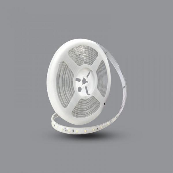 Đèn LED dây RGB LED5050/RGB
