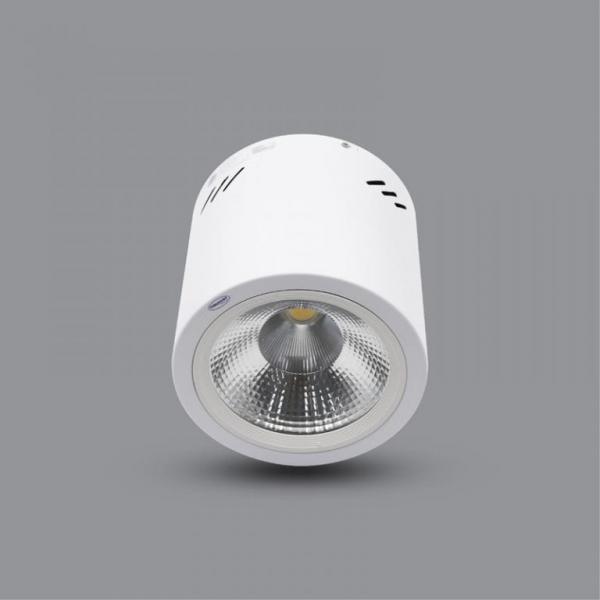 Đèn LED Downlight 30W gắn nổi PSDOO230L30