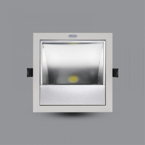 Đèn LED Downlight chiếu tranh 20W âm trần PRDXX176L20