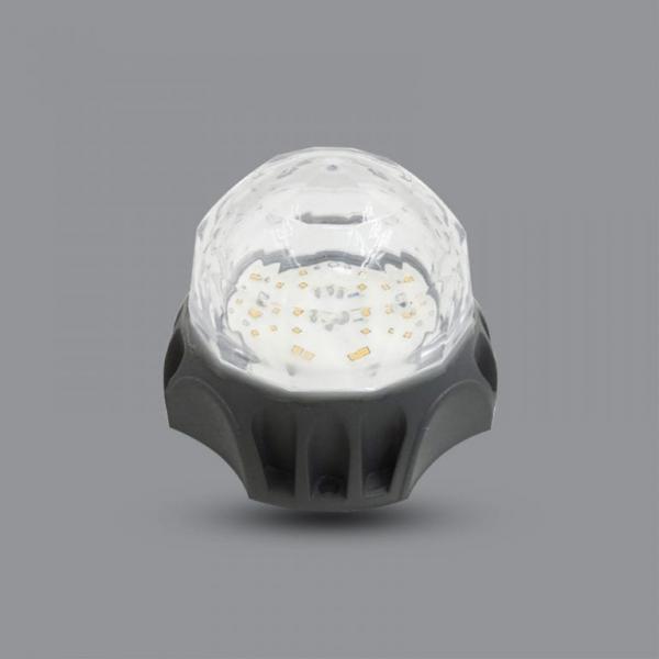 Đèn LED pha PPLA3L/RGB