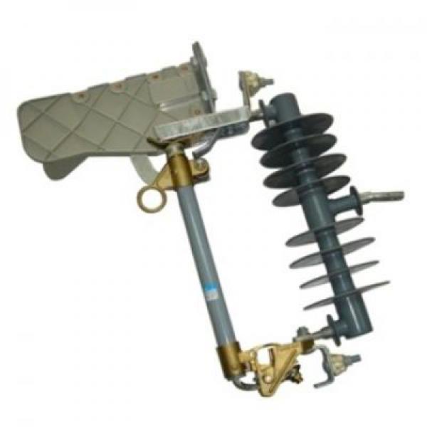 LBFCO polymer 27kV-100A (200A) Tuấn Ân